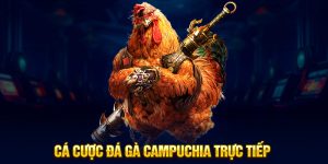 Cá cược đá gà Campuchia trực tiếp